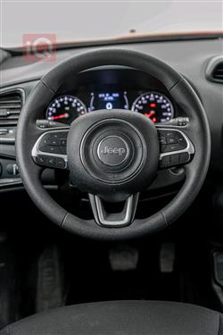 جيب رينيجيد